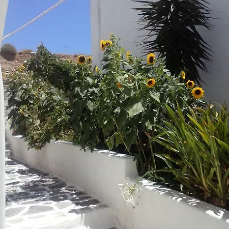 Athina'S Blue Studios Naousa (Paros)