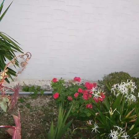 Athina'S Blue Studios