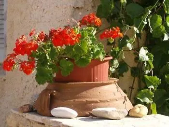 Athina's Blue Náoussa