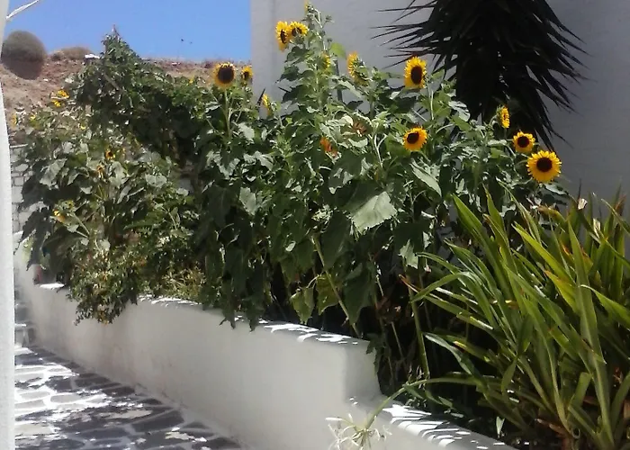 Athina's Blue Náoussa